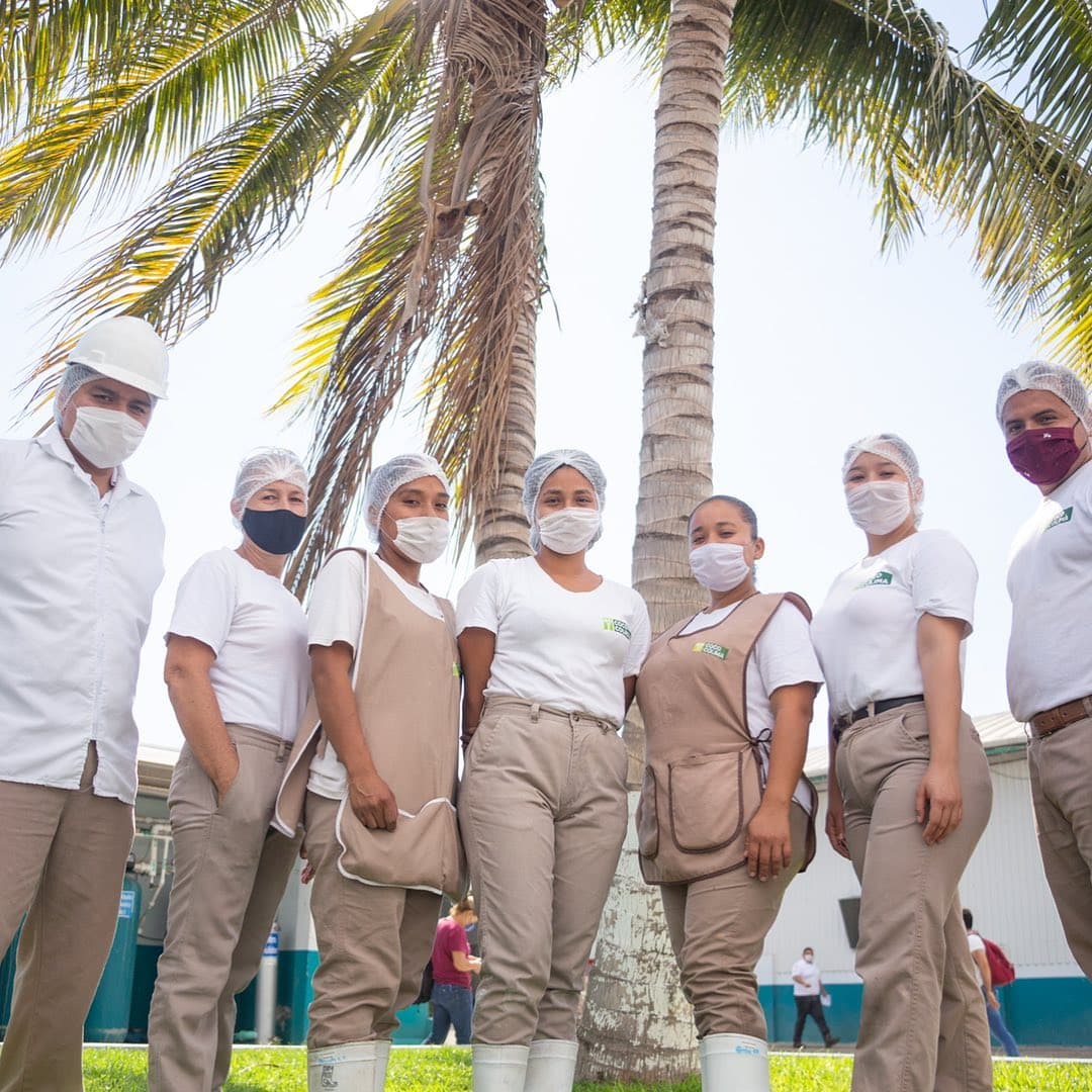 Integrantes del equipo de A de Coco reunidos junto a una palma
