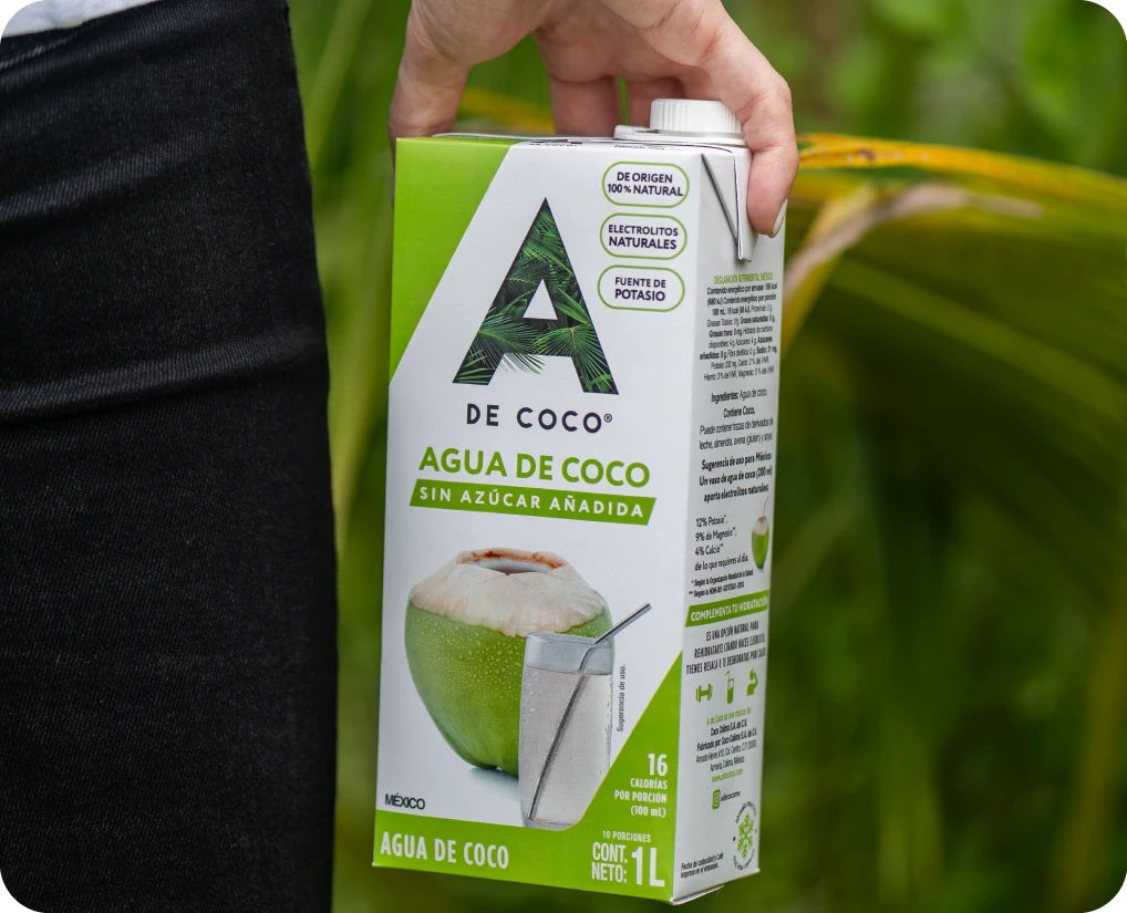 Un envase de agua de coco A de Coco de 1 L sostenido frente a hojas verdes